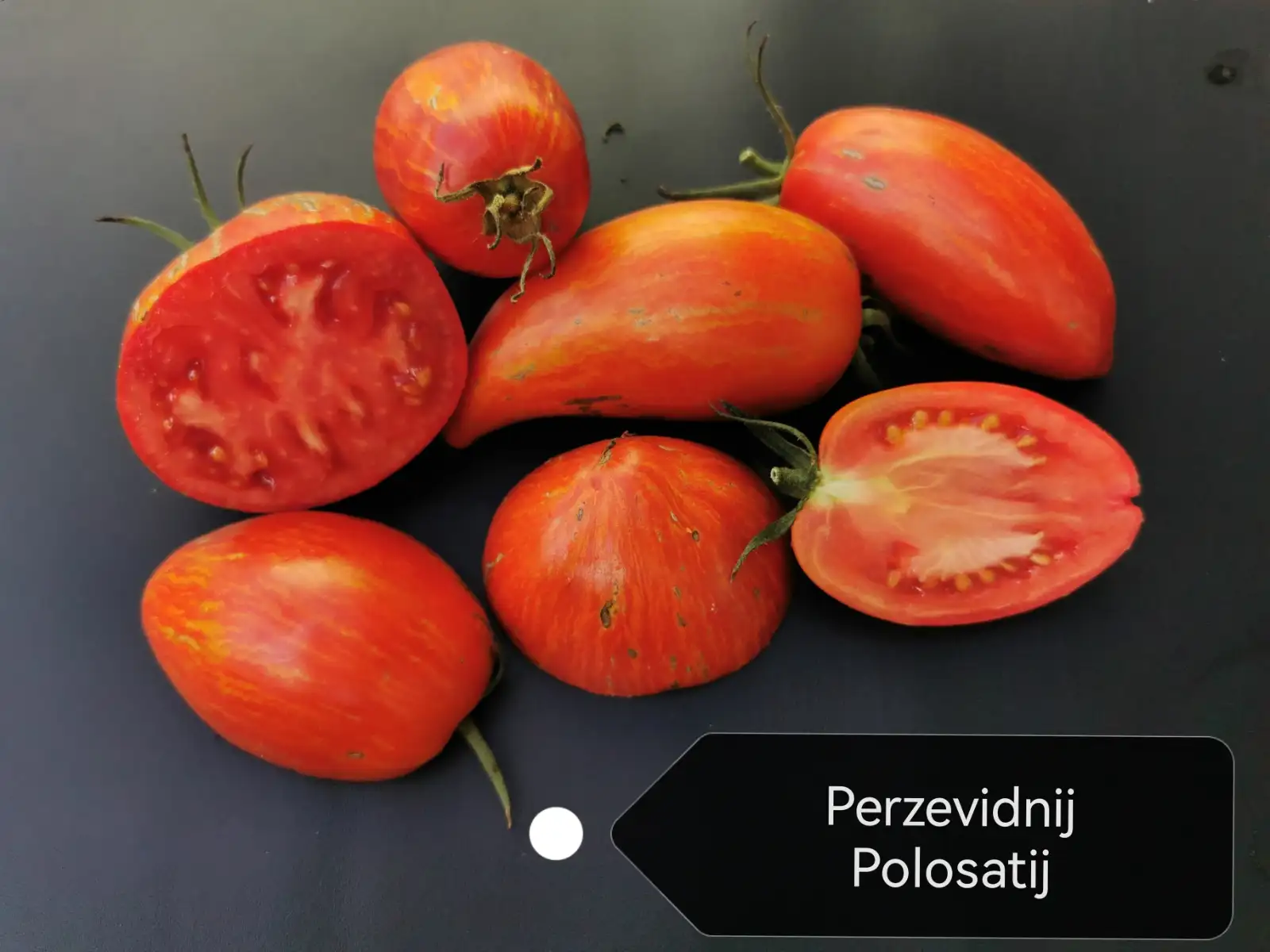 Tomaten: Perzevidnij Polosatij