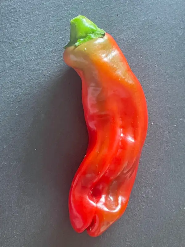 Chili / Paprika: Peter Pepper Penis Chili