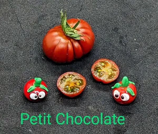 Tomaten: Petit Chocolate