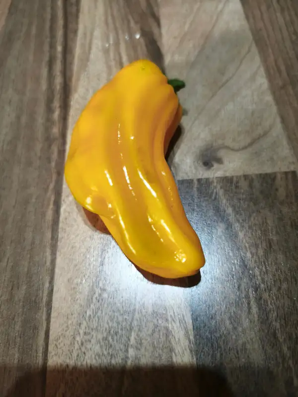 Paprika: Petit Marseillaise