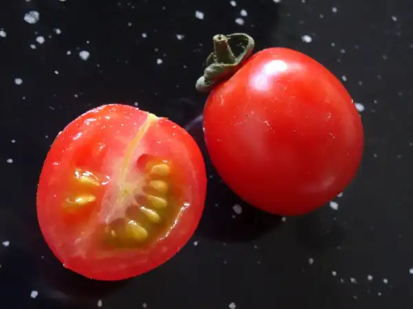 Tomaten: Philamina