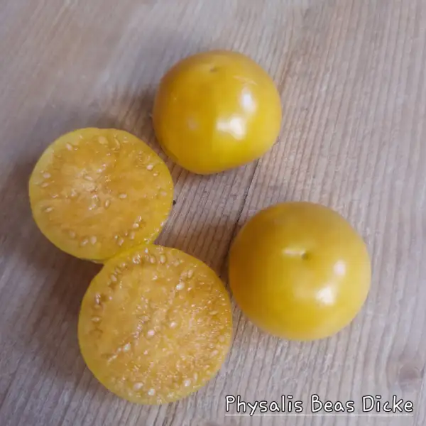 Obst: Physalis Beas Dicke