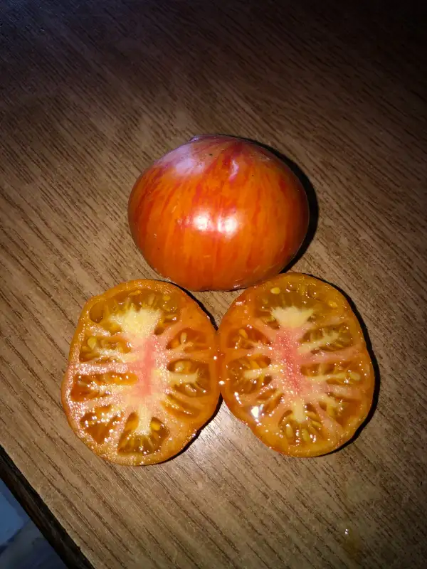 Tomaten: Piña de Aragón