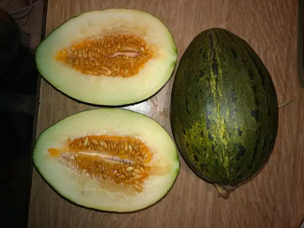 Obst: Piel de Sapo de La Mancha melone