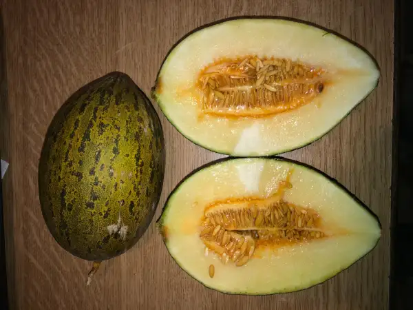 Obst: Piel de Sapo Rayado de Huelva melone