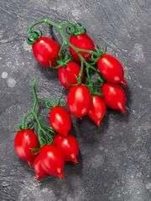 Tomaten: Piennolo del Vesuvio