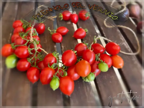 Tomaten: Piennolo del Vesuvio