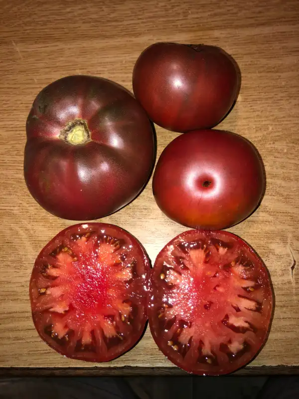 Tomaten: Pierce