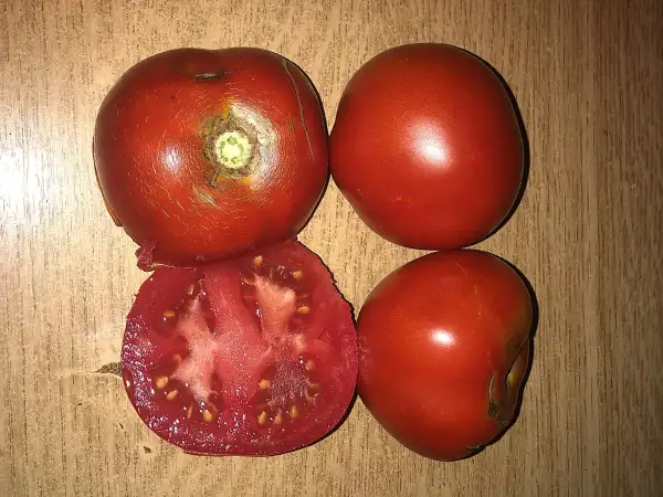 Tomaten: Pierfit