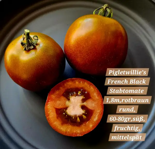 Tomaten: Pigletwillie