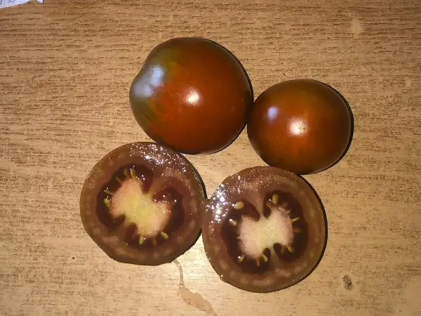 Tomaten: Pigletwillie