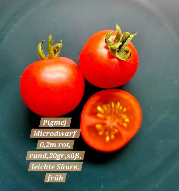 Tomaten: Pigmej