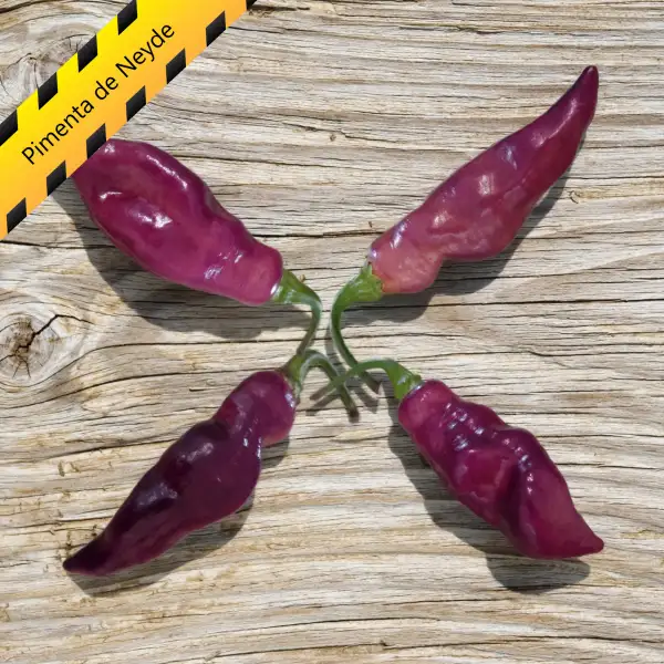 Chili: Pimenta de Neyde