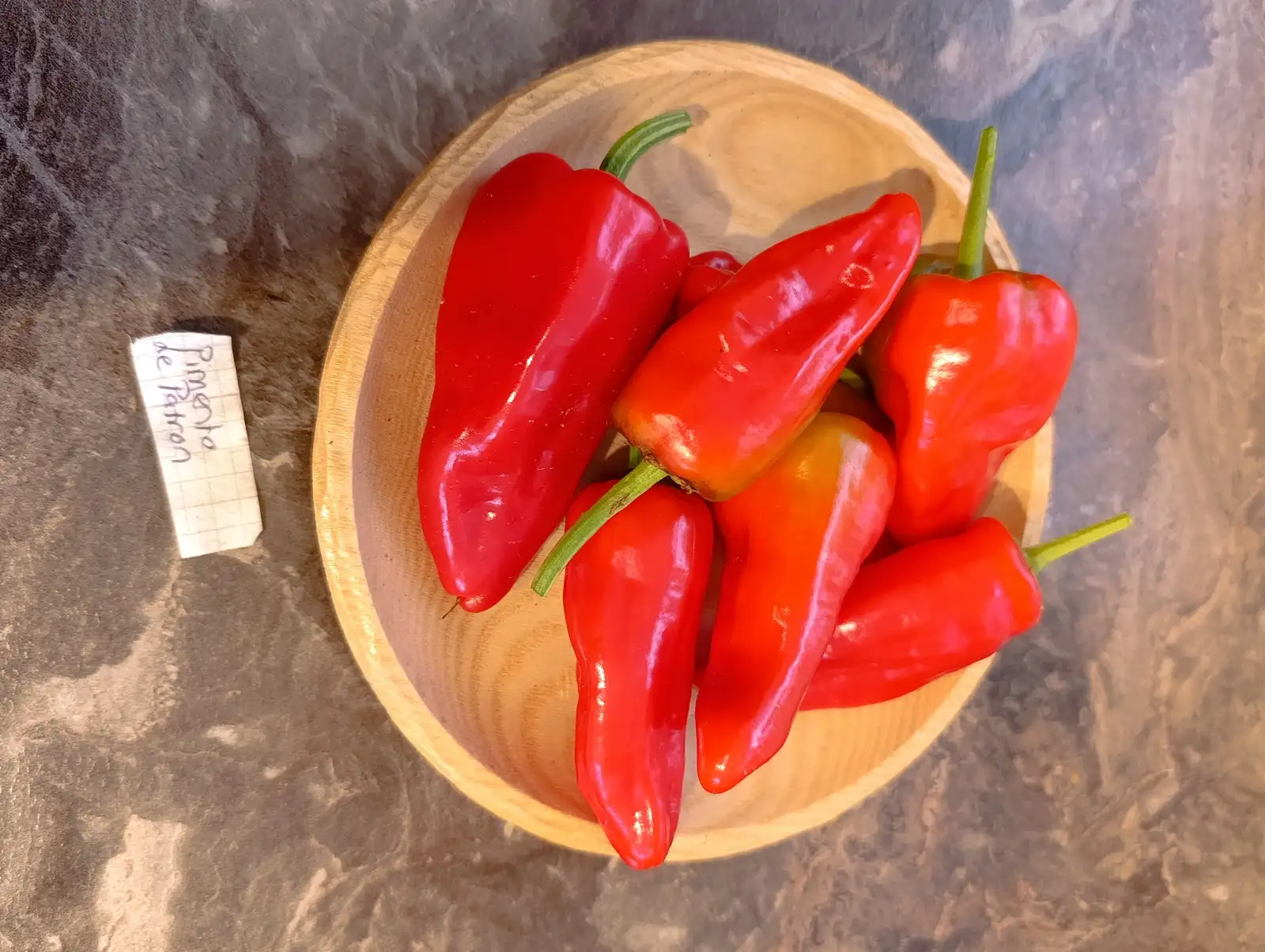 Chili / Paprika: Pimentos de Patron