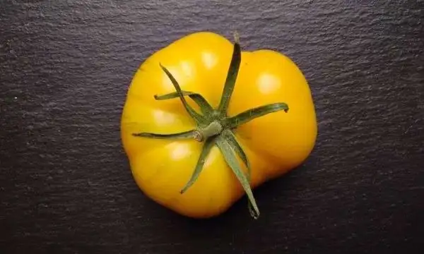 Tomaten: Pineapple Pig