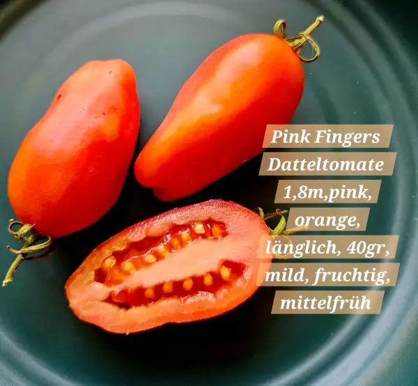 Tomaten: Pink Fingers