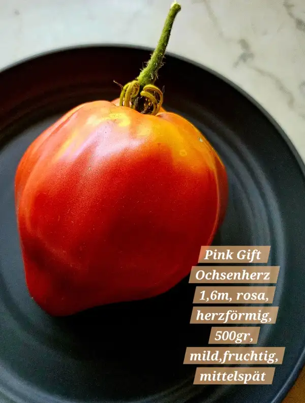 Tomaten: Pink Gift