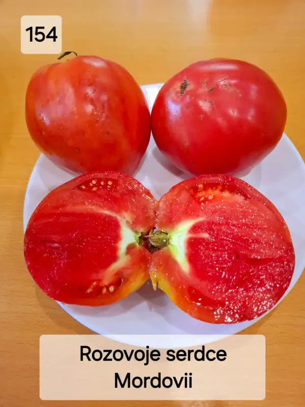 Tomaten: Pink heart of Mordovia