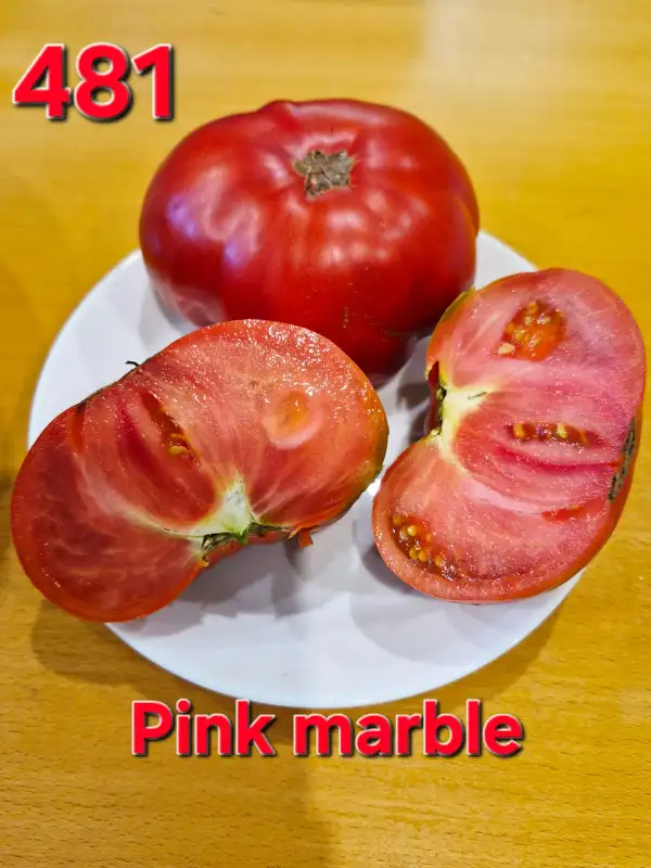 Tomaten: Pink marble