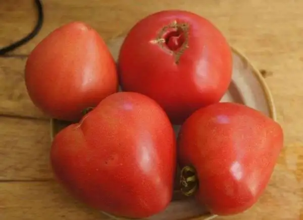 Tomaten: Pink Passion