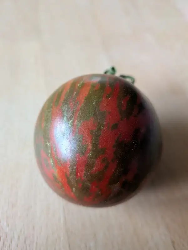 Tomaten: Pink Saphire
