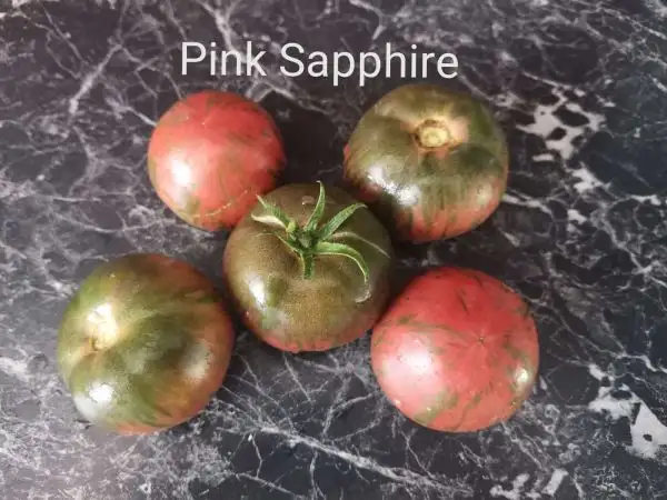 Tomaten: Pink Sapphire