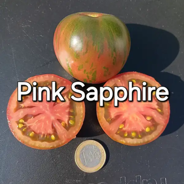 Tomaten: Pink Sapphire