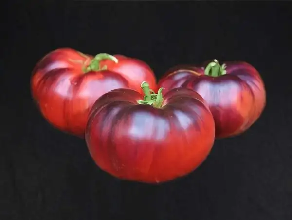 Tomaten: Pink Siberian Tiger