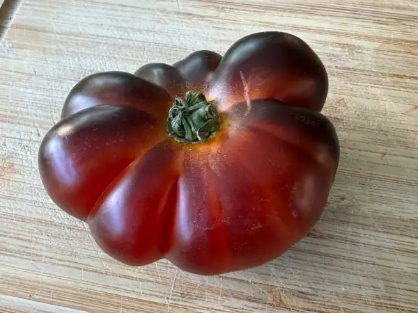 Tomaten: Pink Siberian Tiger