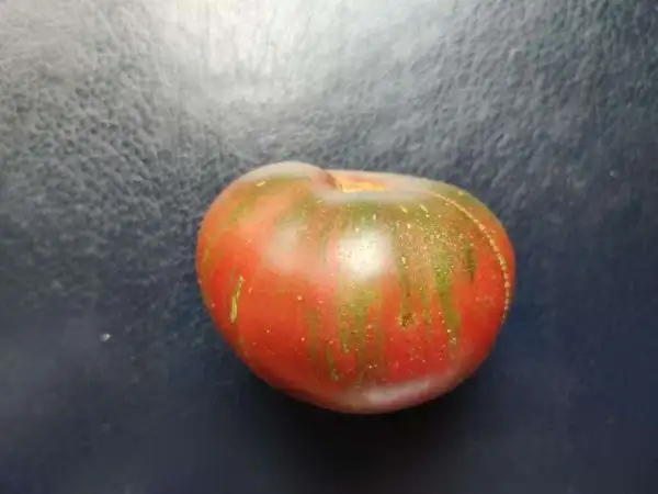 Tomaten: Pink Striped Dwarf