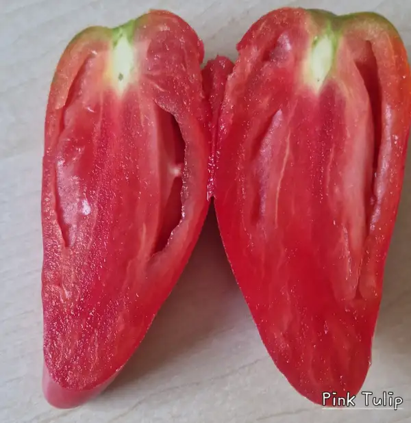Tomaten: Pink Tulip