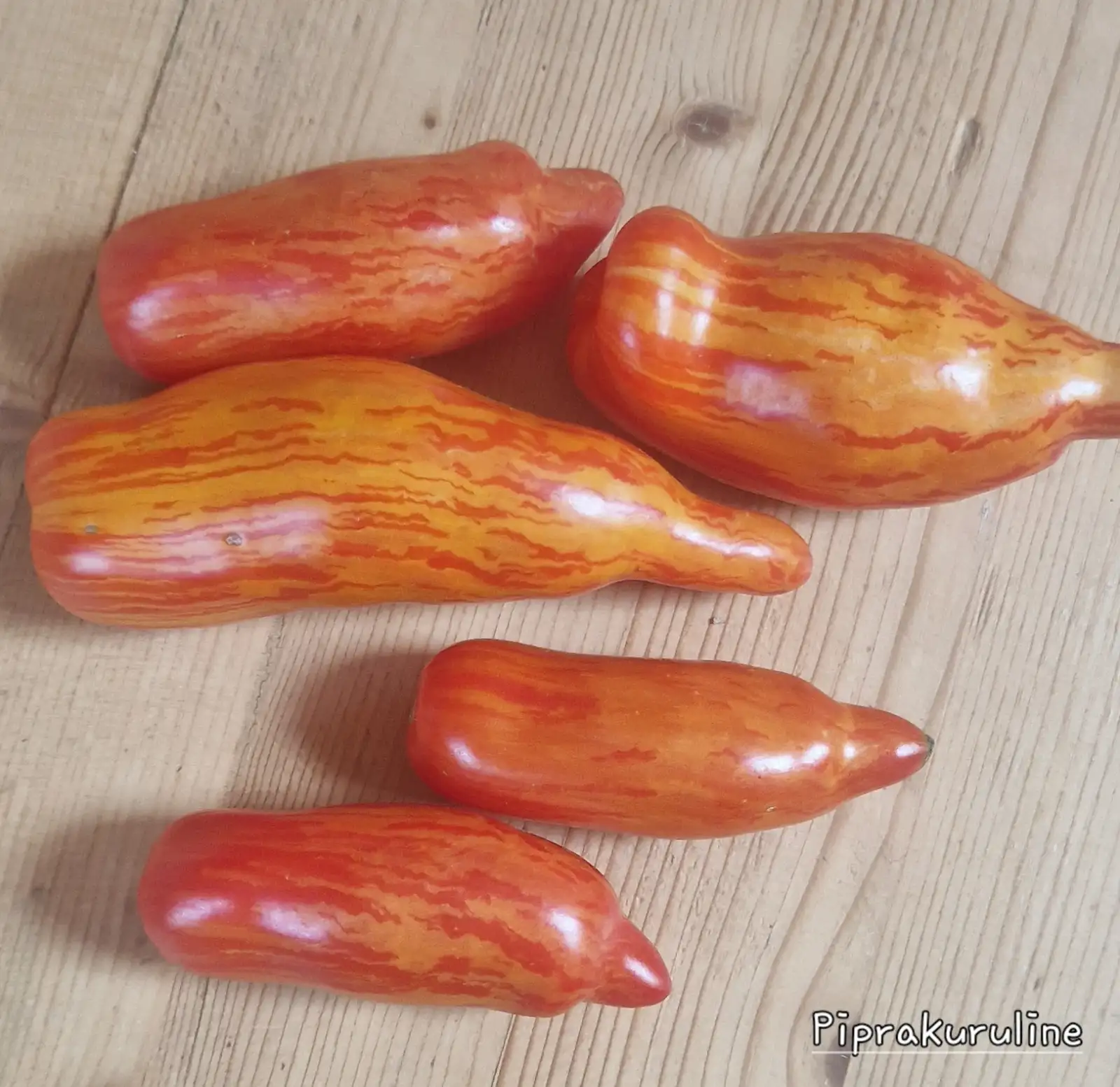 Tomaten: Piprakuruline