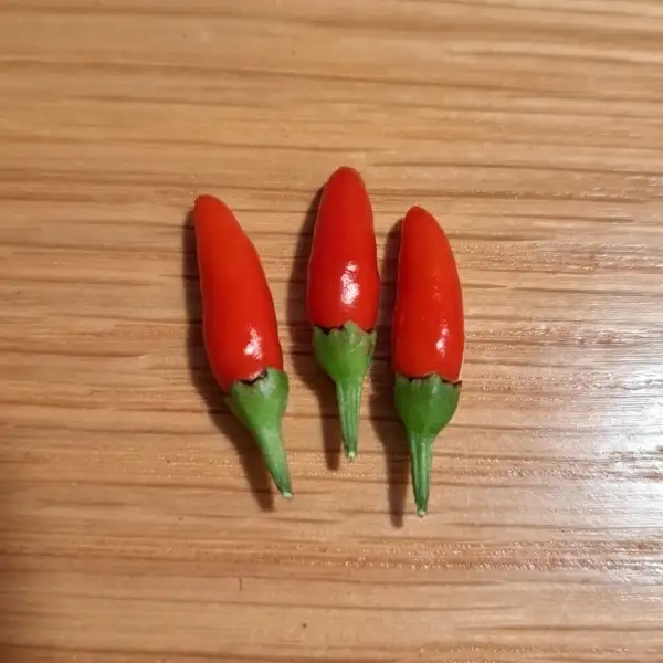 Chili / Paprika: Piri Piri