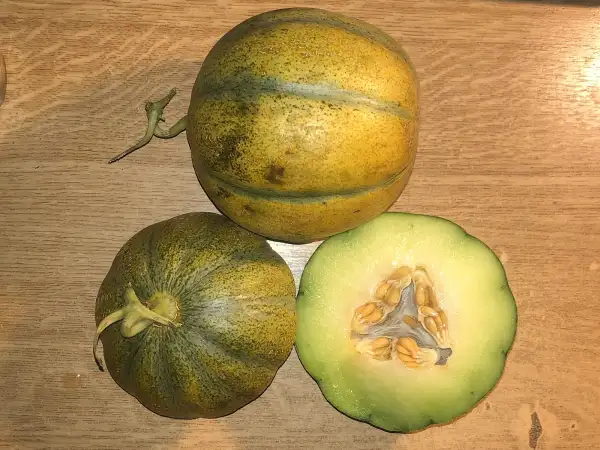 Melonen: Pistache melone