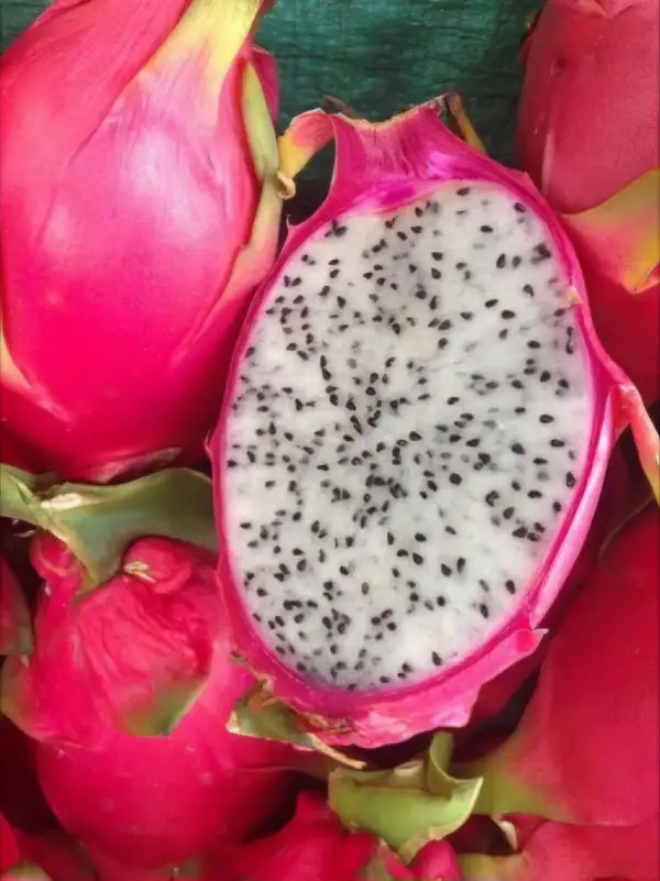 Obst: Pitahaya Drachenfrucht