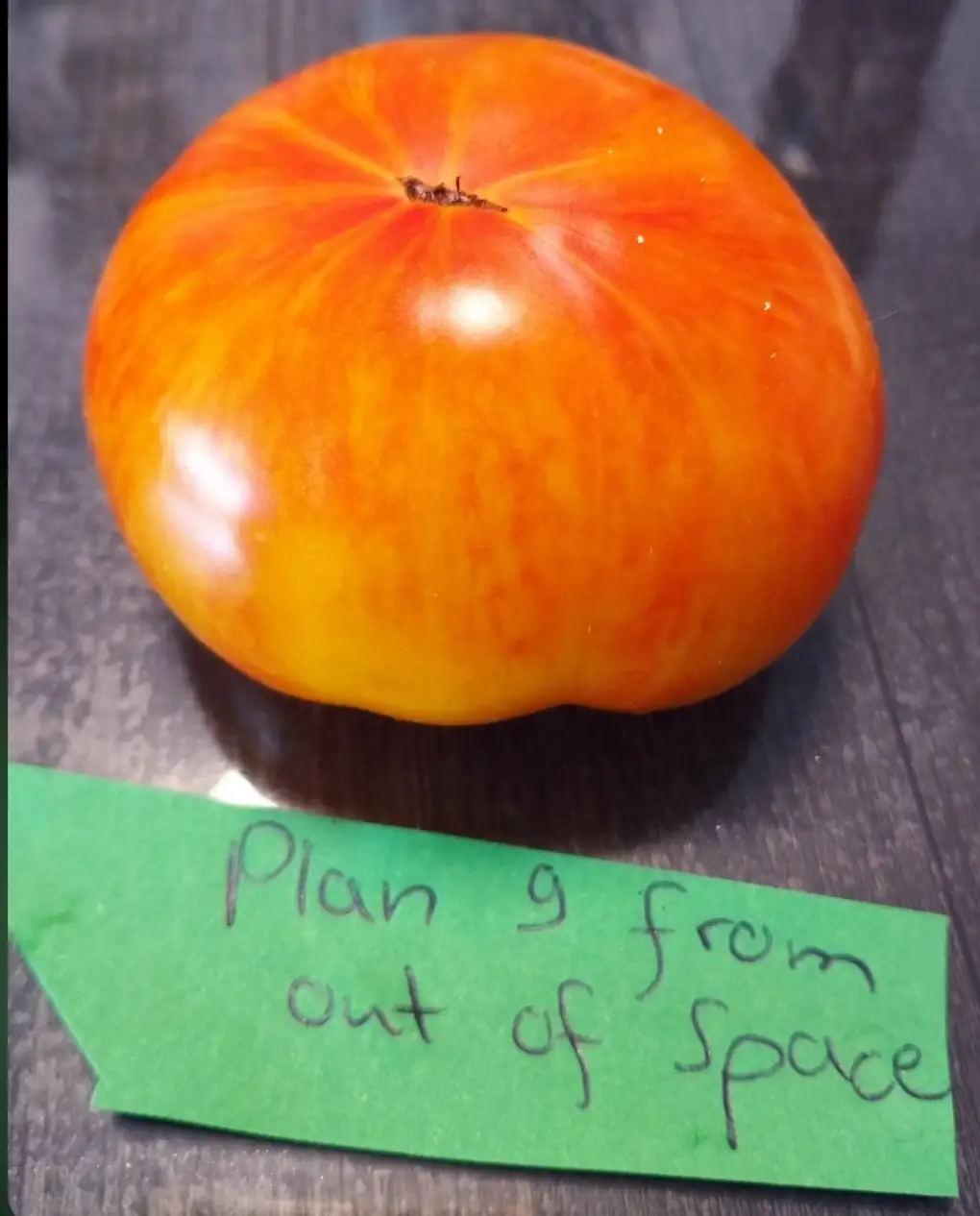 Tomaten: Plan 9 from out of Space