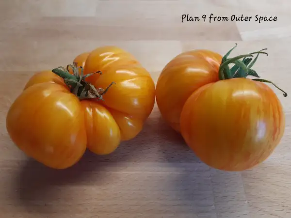 Tomaten: Plan 9 from outer Space