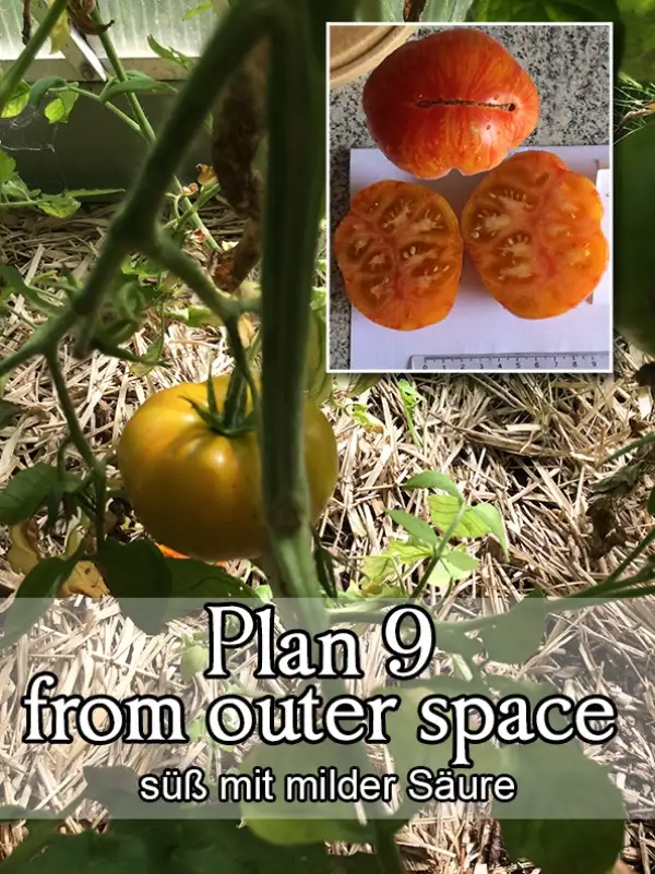 Tomaten: Plan 9 from outer Space