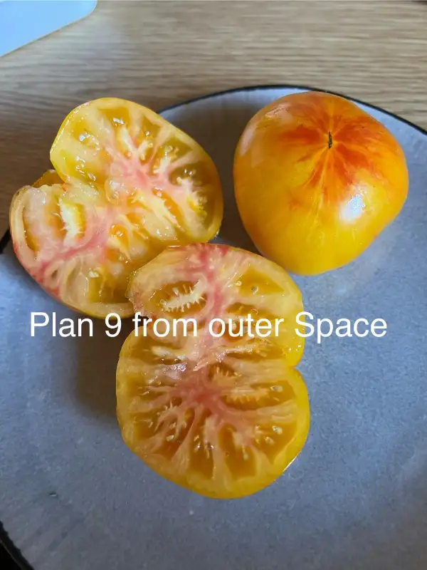 Tomaten: Plan 9 from outer Space