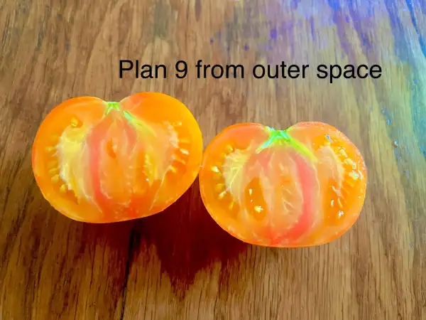 Tomaten: Plan 9 from outer Space