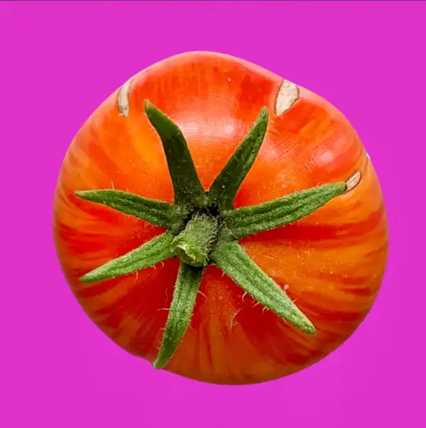 Tomaten: Plan 9 from outer Space