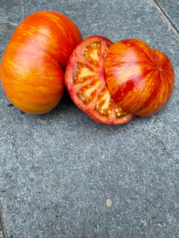 Tomaten: Plan 9 from outer Space