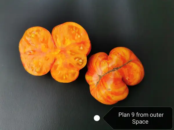 Tomaten: Plan 9 from outer Space