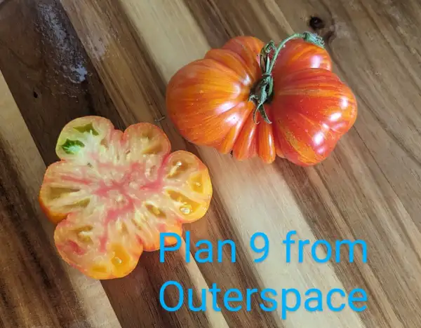 Tomaten: Plan 9 from Outerspace