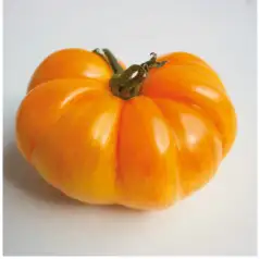 Tomaten: Plan 9 From Outter Space