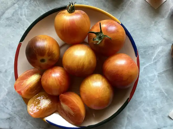 Tomaten: Planet Earth ( Bill Yoder )