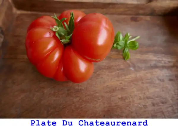 Tomaten: Plate Du Chateaurenard