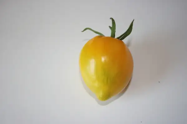 Tomaten: Plum Lemon