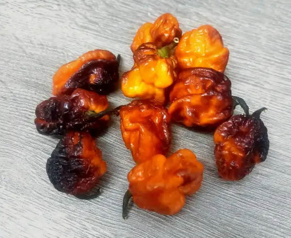 Chili: Pockmark Orange