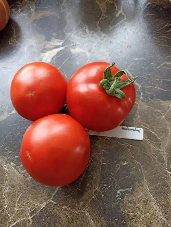 Tomaten: Podarochnij